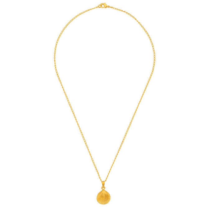 Chain Necklace with Sea Shell Pendant