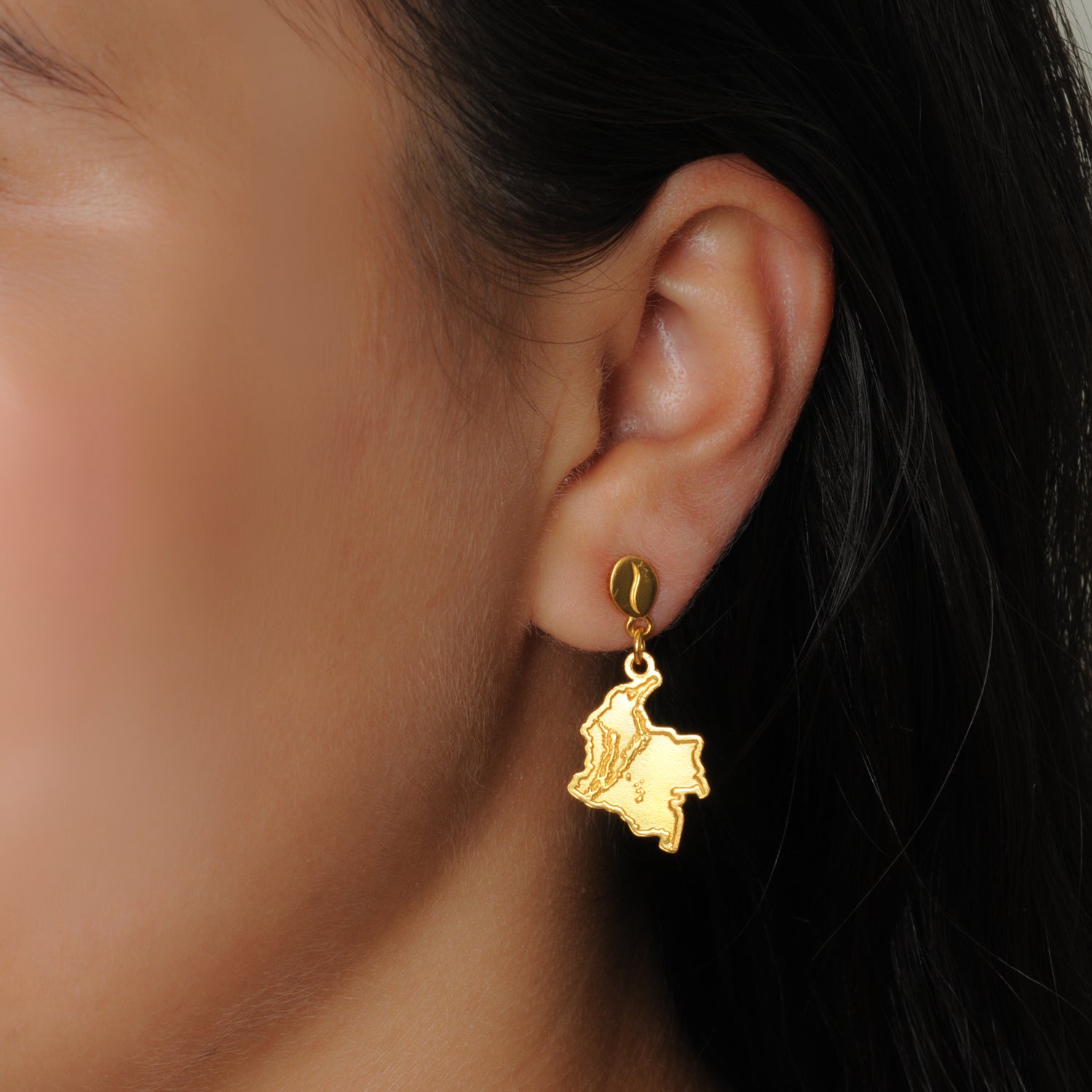 Relief Colombia map earrings