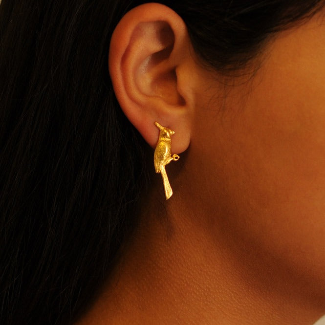 Cardenal Guajiro earrings