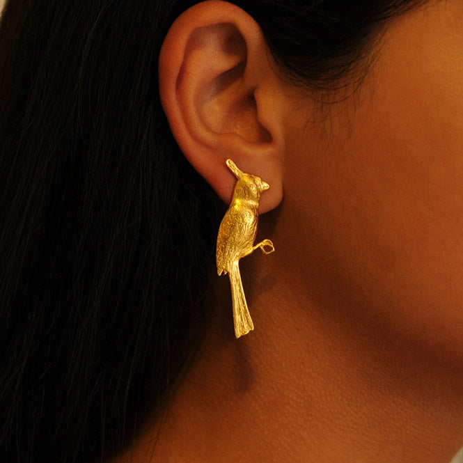 Cardenal Guajiro long earrings