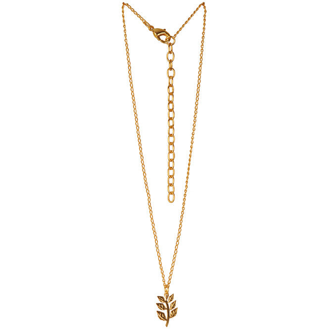 Chain Choker Necklace with Renacer Laurel Branch Pendant